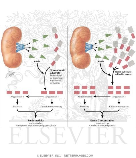 Watermarked preview of labeled image: Activity Versus Concentration