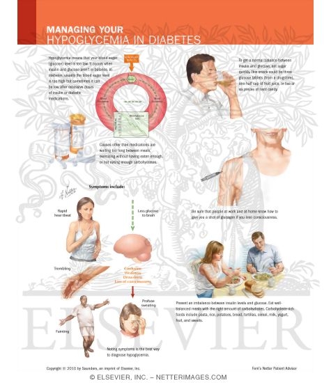 Watermarked preview of labeled image: Managing Your Hypoglycemia In Diabetes