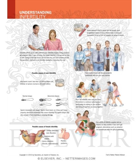 Watermarked preview of labeled image: Understanding Infertility