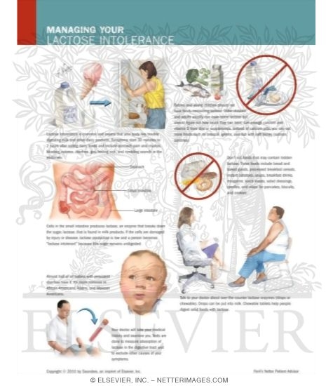Watermarked preview of unlabeled image: Managing Your Lactose Intolerance