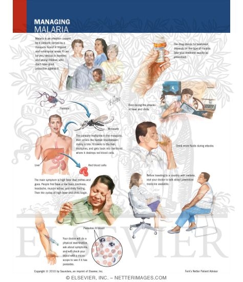 Watermarked preview of labeled image: Managing Malaria