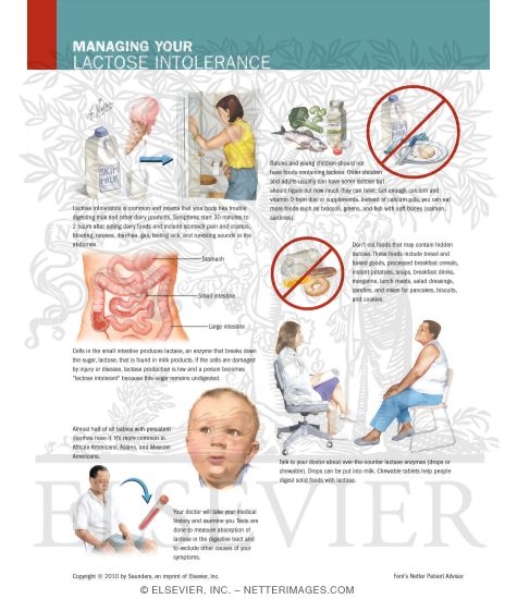 Watermarked preview of labeled image: Managing Your Lactose Intolerance