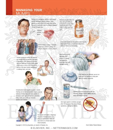 Watermarked preview of labeled image: Managing Your Mumps