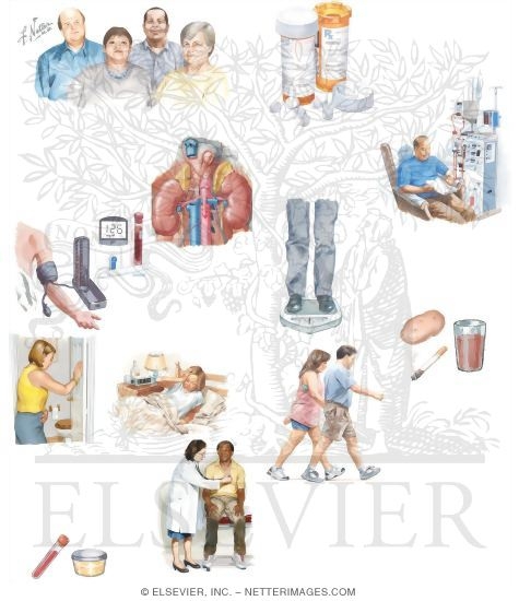 Managing Your Chronic Renal Failure