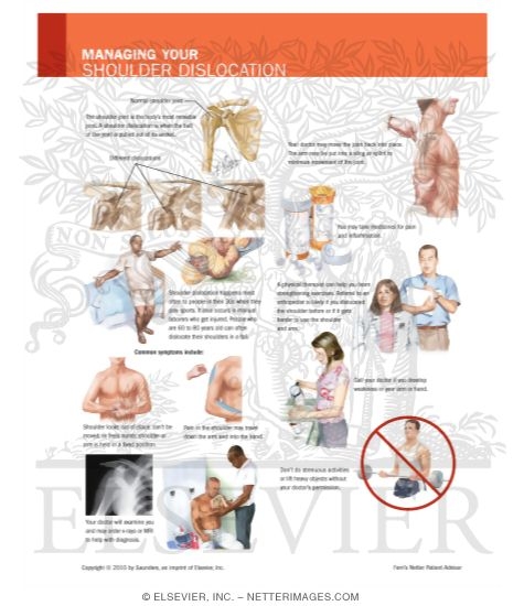 Watermarked preview of labeled image: Managing Your Shoulder Dislocation
