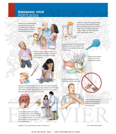 Managing Your Pertussis