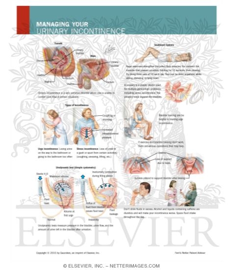 Watermarked preview of labeled image: Managing Your Urinary Incontinence