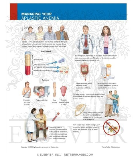 Watermarked preview of unlabeled image: Managing Your Aplastic Anemia