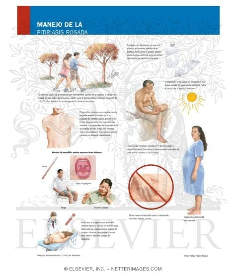 Managing Your Pityriasis Rosea