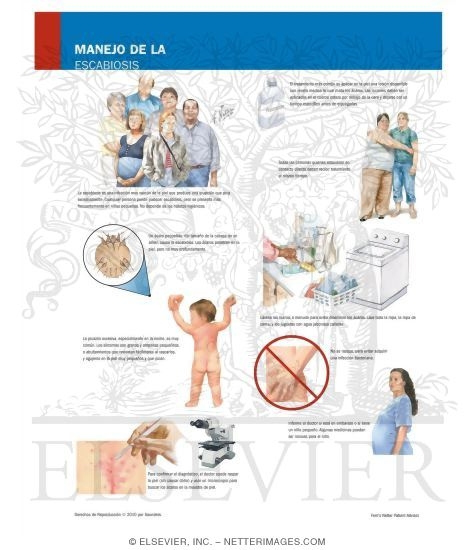 Watermarked preview of labeled image: Managing Scabies