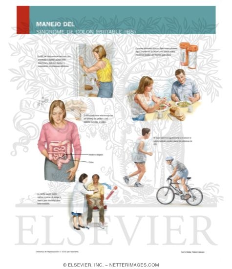 Managing Your Irritable Bowel Syndrome (IBS)