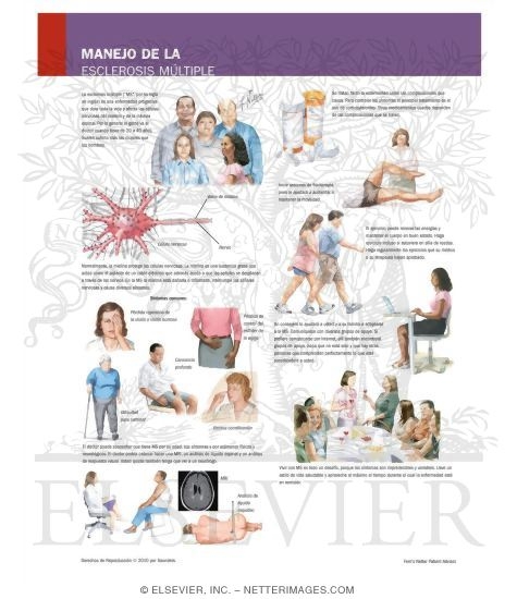 Managing Your Multiple Sclerosis