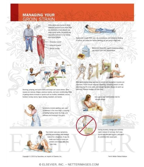 Watermarked preview of unlabeled image: Managing Your Groin Strain