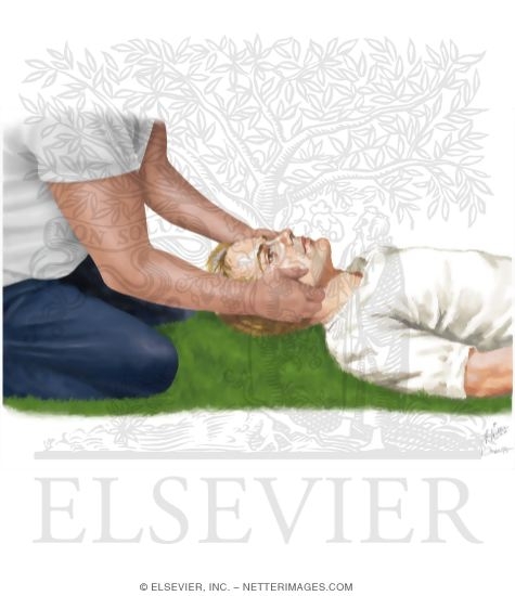 Watermarked preview of unlabeled image: Skull Traction