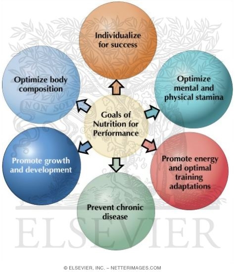 Goals of Nutrition for Performance