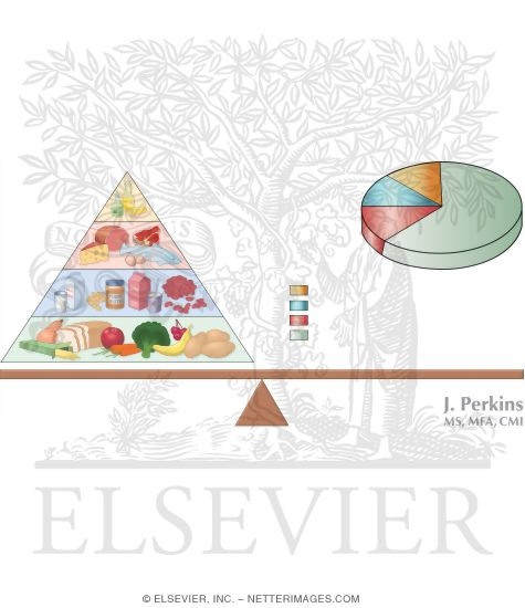 Energy Balance Equation