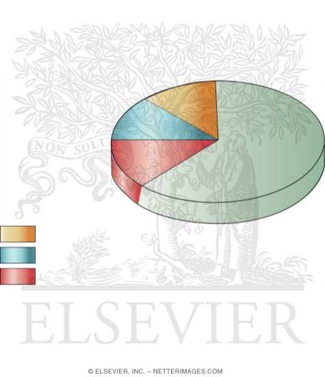 Watermarked preview of unlabeled image: Components of Total Daily Energy Expenditure