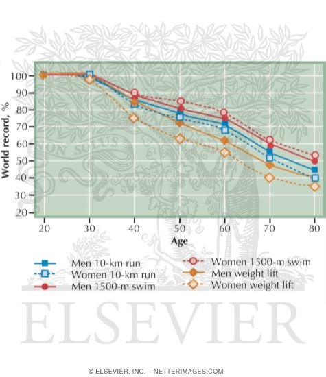 Decline In Athletic Performance With Aging