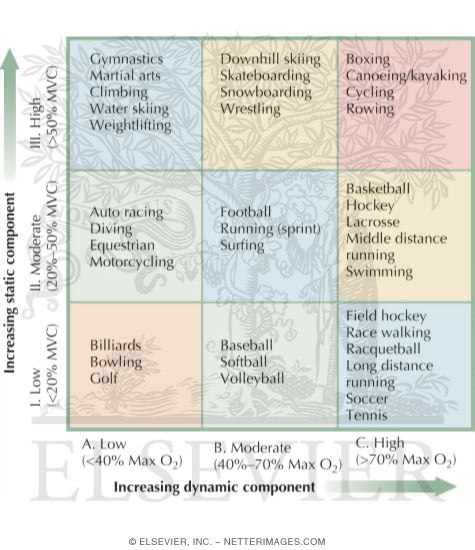 Watermarked preview of unlabeled image: Classification of Sports