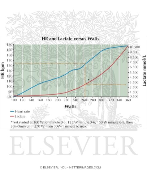 Watermarked preview of unlabeled image: Physiologic Characteristics and Lactate Threshold of a Road Cyclist