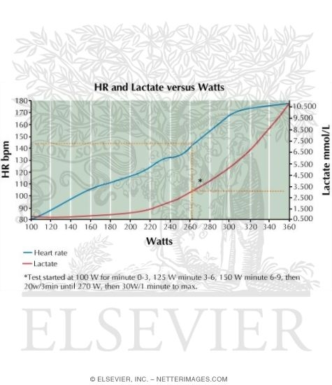 Watermarked preview of labeled image: Physiologic Characteristics and Lactate Threshold of a Road Cyclist