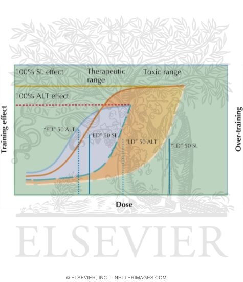 Watermarked preview of unlabeled image: Toxic-Therapeutic Range of Exercise Training