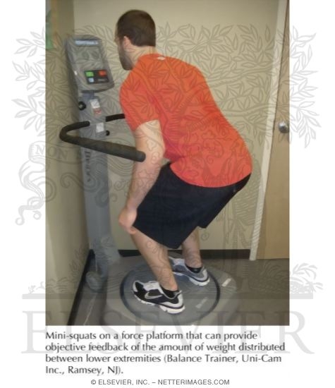 Watermarked preview of labeled image: Proprioceptive Training