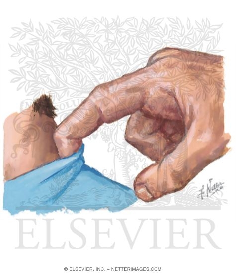 Watermarked preview of unlabeled image: Jersey Finger