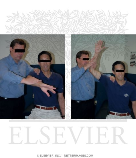 Watermarked preview of unlabeled image: Elbow Exam Tests