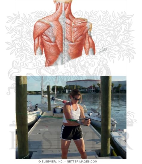 Watermarked preview of unlabeled image: Training for Sailing