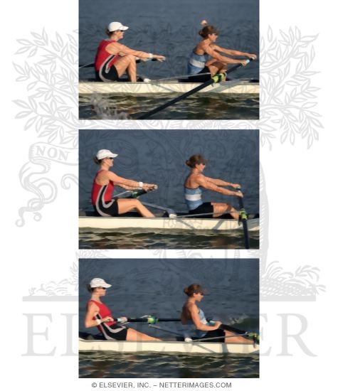 Watermarked preview of unlabeled image: Phases of Rowing Stroke