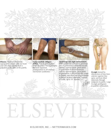 Watermarked preview of labeled image: Observations and Measurement of the Knee