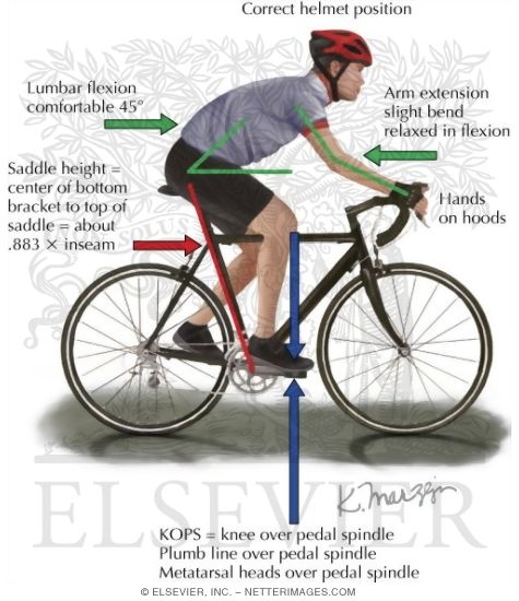 road bike fit