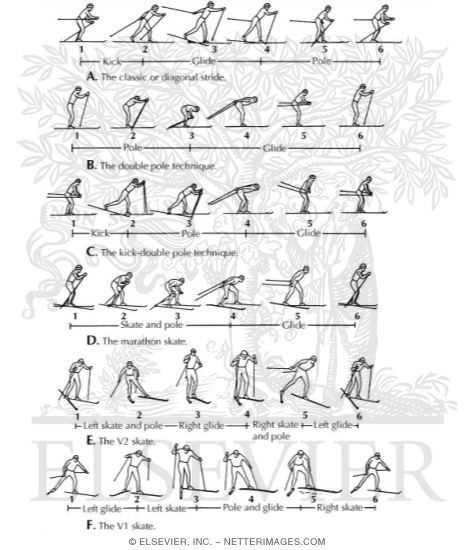 Watermarked preview of labeled image: Cross Country Skiing Techniques