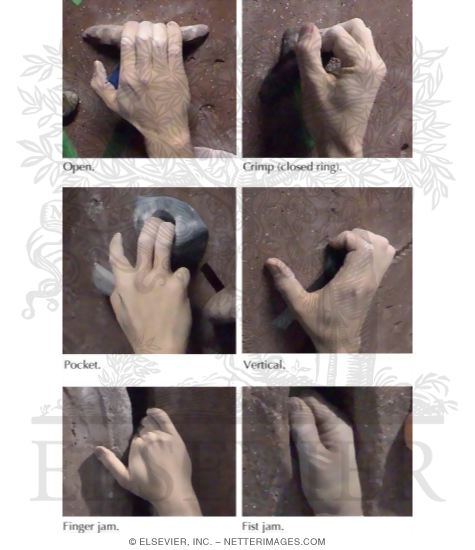 Common Hand Grips In Climbing