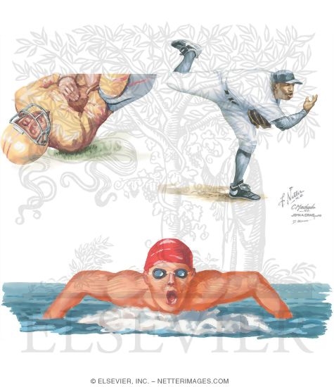 Watermarked preview of unlabeled image: History of Injury to the Shoulder