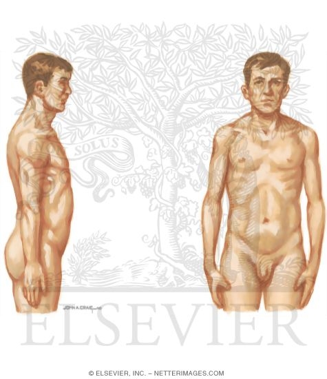 Watermarked preview of unlabeled image: Physical Examination of the Shoulder: Range of Motion