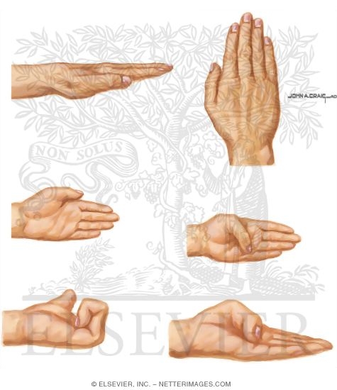 Watermarked preview of unlabeled image: Definitions of Hand Motion