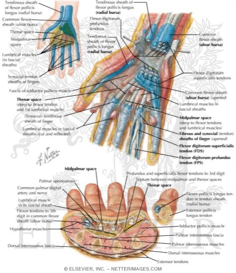 Other Structures: Hand Spaces