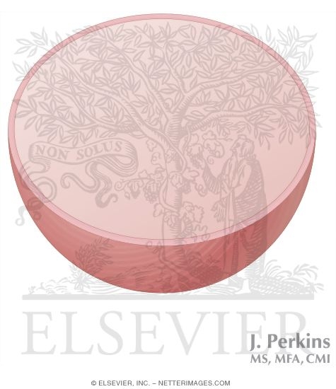 Watermarked preview of unlabeled image: Nernst Potential