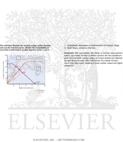 Cardiac Function and Vascular Function Curves