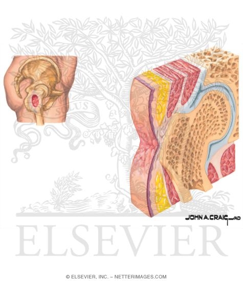 Watermarked preview of unlabeled image: Methods of Wound Closure