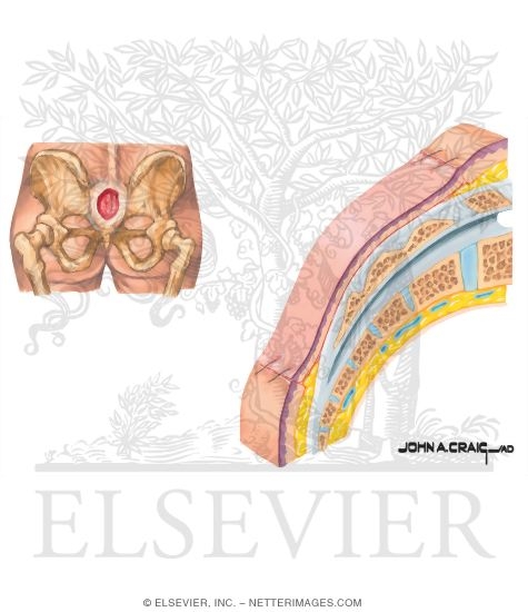 Watermarked preview of unlabeled image: Methods of Wound Closure