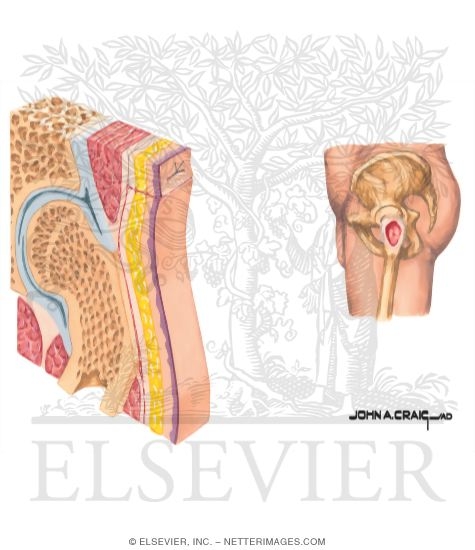 Watermarked preview of unlabeled image: Methods of Wound Closure