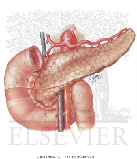 Diseases of Pancreas