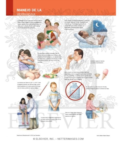 Managing Your Herpangina