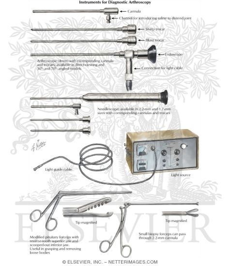 Watermarked preview of labeled image: Instruments for Diagnostic Arthroscopy