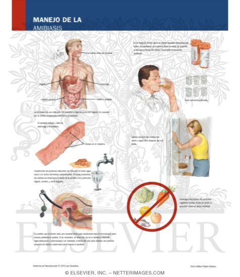 Managing Your Amebiasis