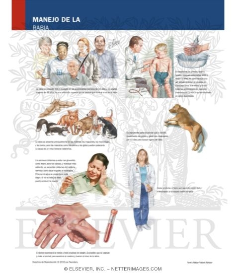 Watermarked preview of labeled image: Managing Your Rabies