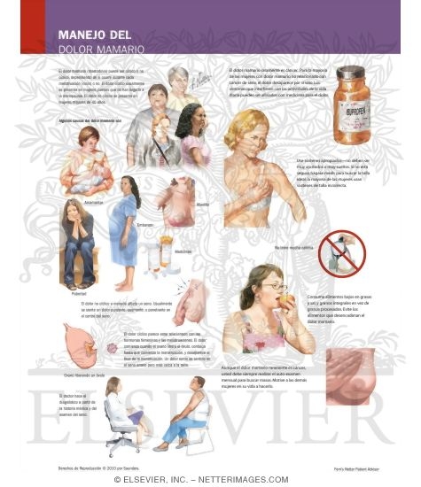 Watermarked preview of labeled image: Managing Your Breast Pain